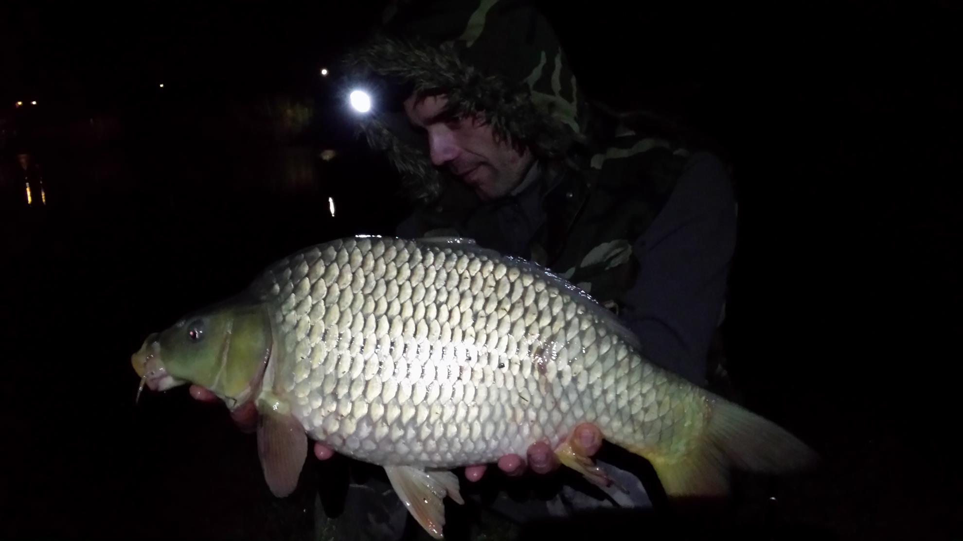 Moara Vlasiei 2 28 februarie - 1 martie 2015 - 20150228234838lls.jpg